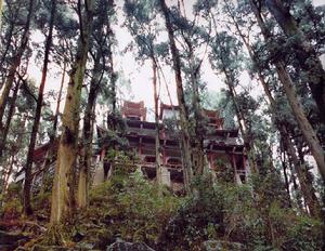 團柏古韻 團柏古韻