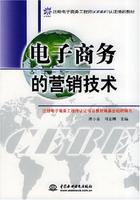 電子商務的行銷技術 電子商務的行銷技術
