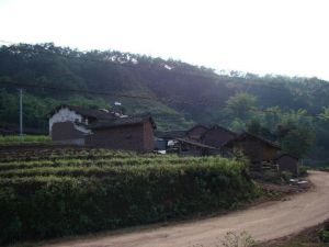 上下河尾村 上下河尾村