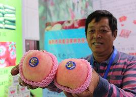 煙臺紅富士蘋果 煙臺紅富士蘋果