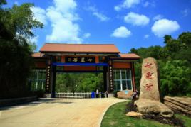 重慶七星谷 重慶七星谷