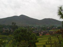 大壩稍村 大壩稍村