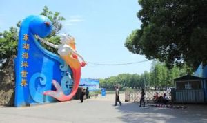 武漢東湖海洋世界 武漢東湖海洋世界