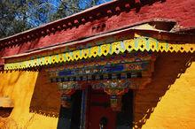 拉薩羅布林卡動物園