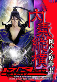 內氣縱橫 內氣縱橫