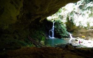 桃園三民蝙蝠洞