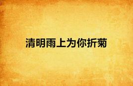 清明雨上為你折菊 清明雨上為你折菊