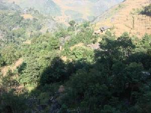 上石板自然村 上石板自然村