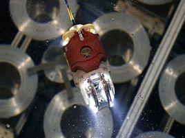 反應堆啟動測試 反應堆啟動測試