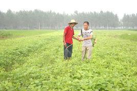化學除草 化學除草