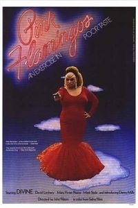 粉紅色的火烈鳥