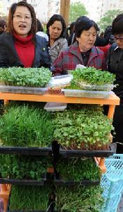 北京綠山谷芽菜有限責任公司 北京綠山谷芽菜有限責任公司