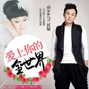 愛上你的全世界 愛上你的全世界