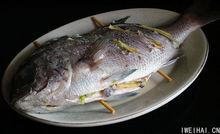 清蒸加吉魚