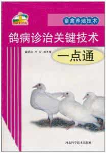 鴿病診治關鍵技術一點通