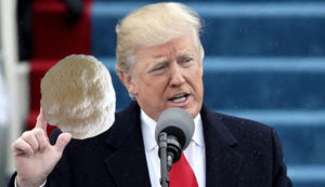 特朗普頭菇 特朗普頭菇