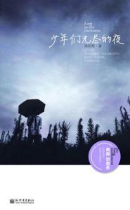 《少年們無盡的夜》 《少年們無盡的夜》