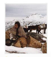 最後的馬幫 最後的馬幫