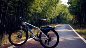 宜興龍池山腳踏車公園