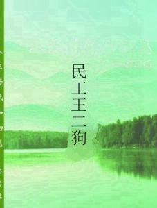 民工王二狗 民工王二狗