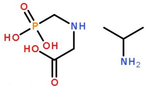 苯異丙胺 苯異丙胺