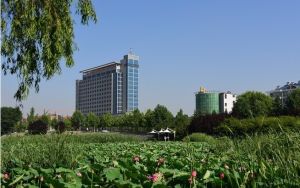 蓮河公園 蓮河公園