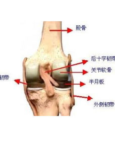 膝蓋滑膜炎