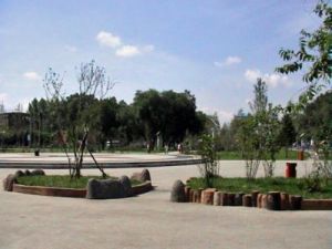 佳木斯興梅公園 佳木斯興梅公園