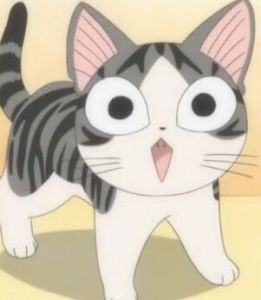 賤貓小嘰的幸福生活 賤貓小嘰的幸福生活