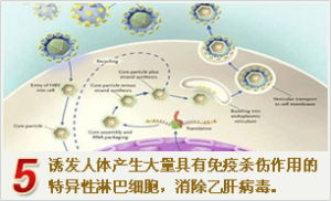 活能克毒轉陰綜合療法 活能克毒轉陰綜合療法