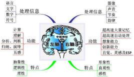 右腦記憶器 右腦記憶器