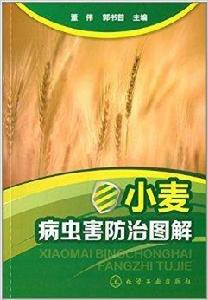 小麥病蟲害防治圖解 小麥病蟲害防治圖解