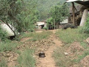 貓耳寨村 貓耳寨村