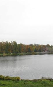 聖彼得堡國立林業大學