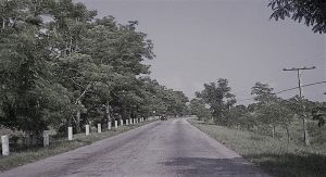 古巴中央公路 古巴中央公路
