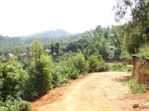 小河箐村 小河箐村