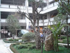 僑頤養老院 僑頤養老院