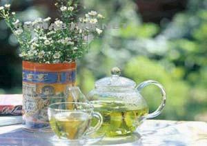 俄羅斯飲茶文化