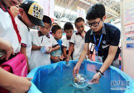 中國青少年科技創新大賽 中國青少年科技創新大賽