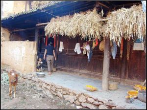 李豐馬安山村 李豐馬安山村