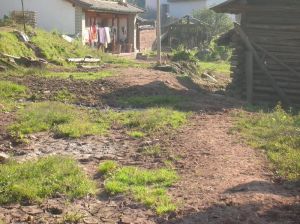 大場自然村 大場自然村