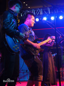 參加愛與和平音樂節