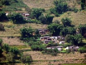 豐代自然村 豐代自然村