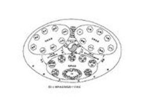 人類生態系統 人類生態系統