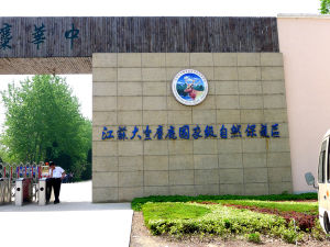 江蘇大豐麋鹿自然保護區 江蘇大豐麋鹿自然保護區