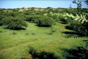 嗚呼穆勒旅遊景區 嗚呼穆勒旅遊景區