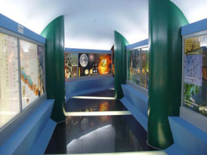 上海昆蟲博物館