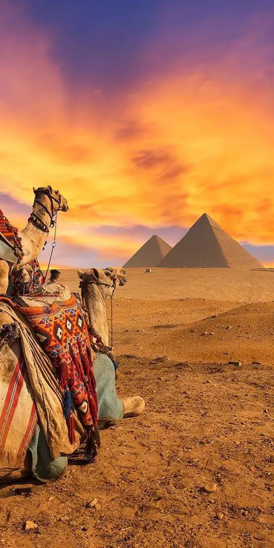 9月,補換護照不用回老家啦!2018年最新免簽&落地簽清單。