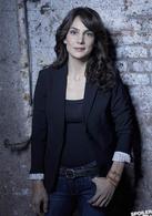 追隨者[2013年起馬科斯·西恩加執導美國電視劇]