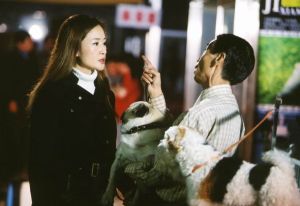 《張燈結彩之歡歡樂樂》